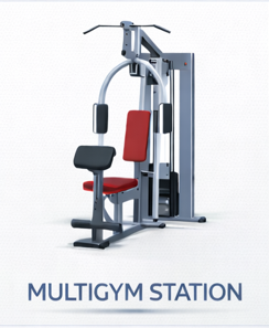 Multigym Station